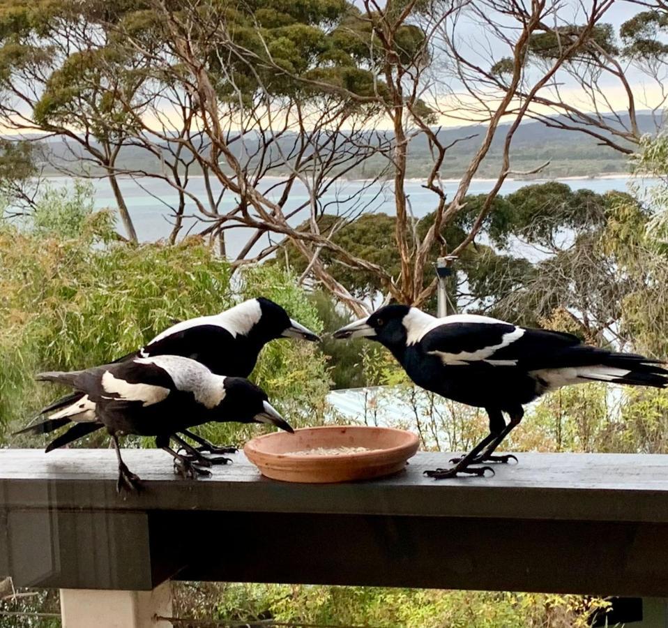 The River Suites, Kangaroo Island American River Luaran gambar